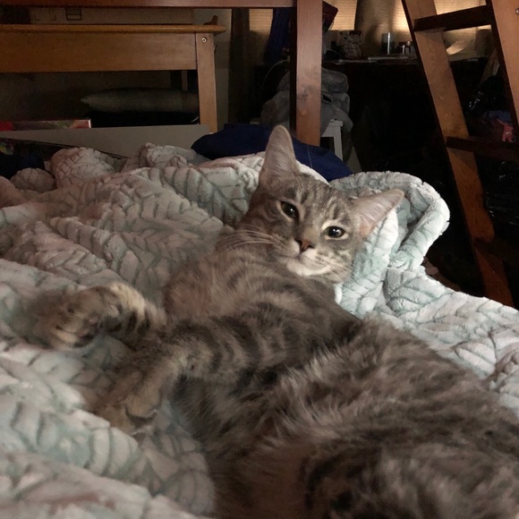 Meet your Posher, Kristen - Picture 4 of 13